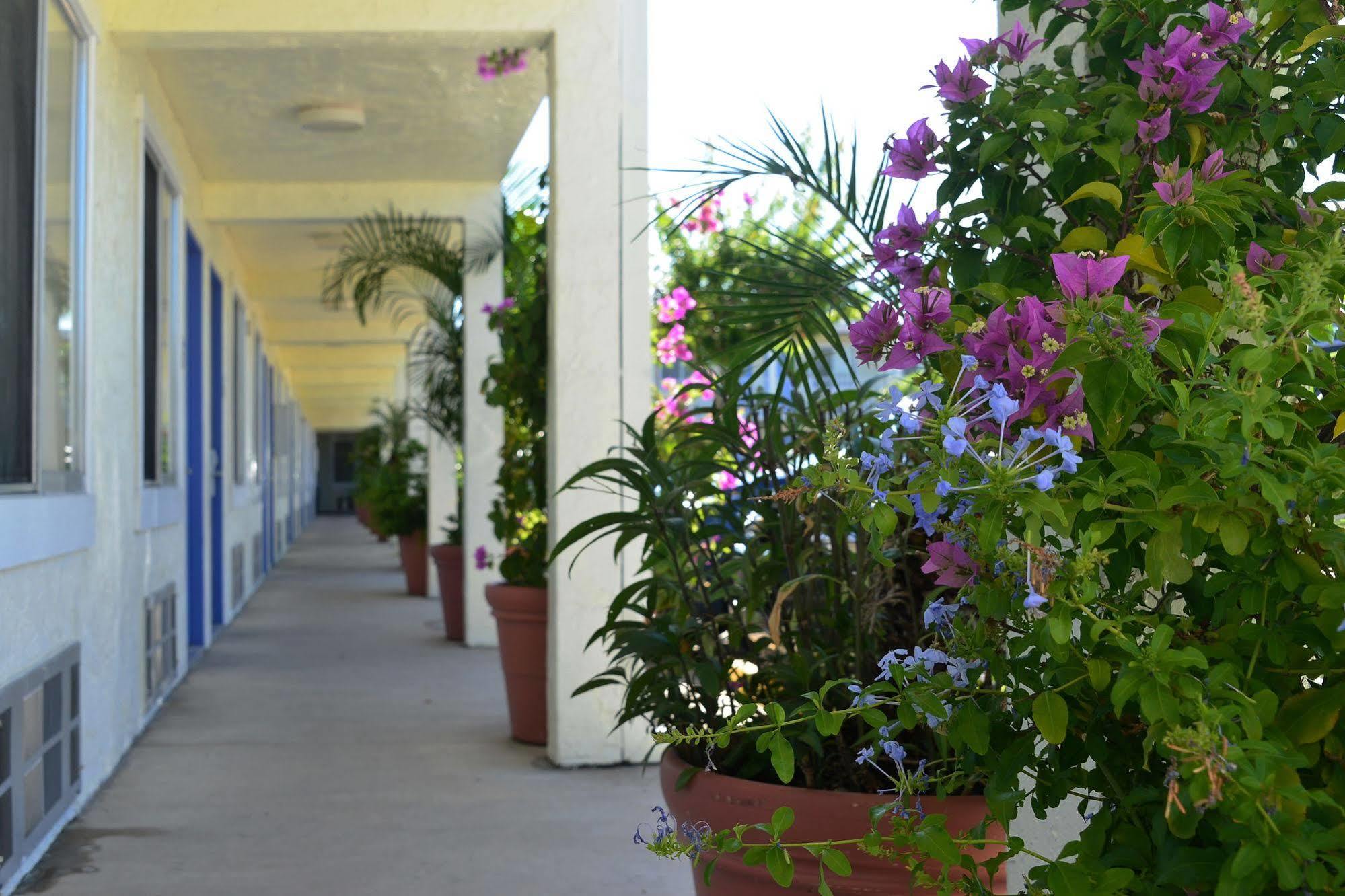 Americas Best Value Inn Bradenton-Sarasota Ngoại thất bức ảnh